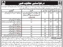 Services and General Administration Department Balochistan jobs 2022