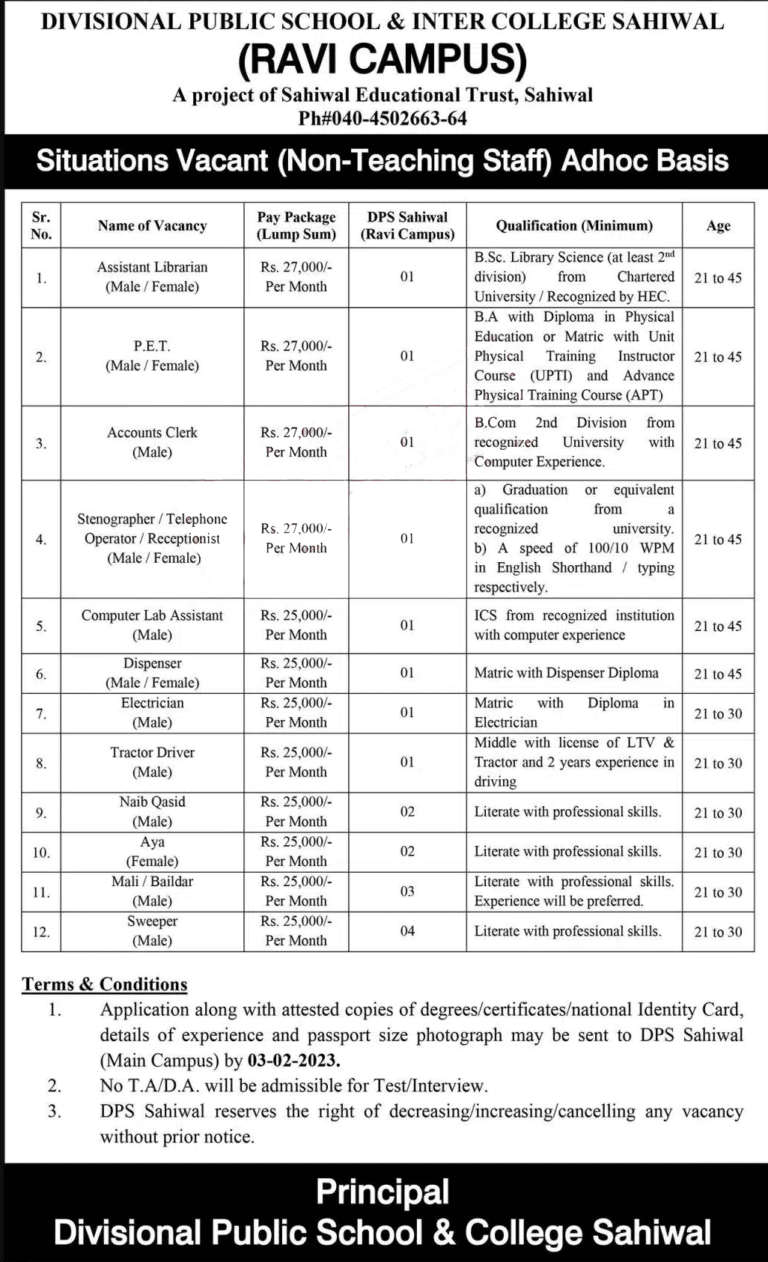 Divisional Public School DPS Sahiwal Jobs 2023