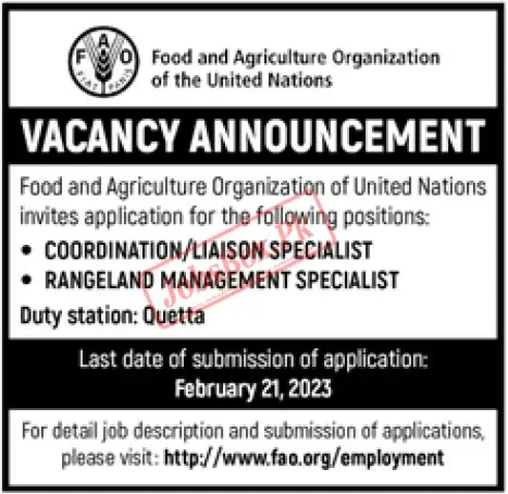 Food and Agriculture Organization FAO jobs 2023 