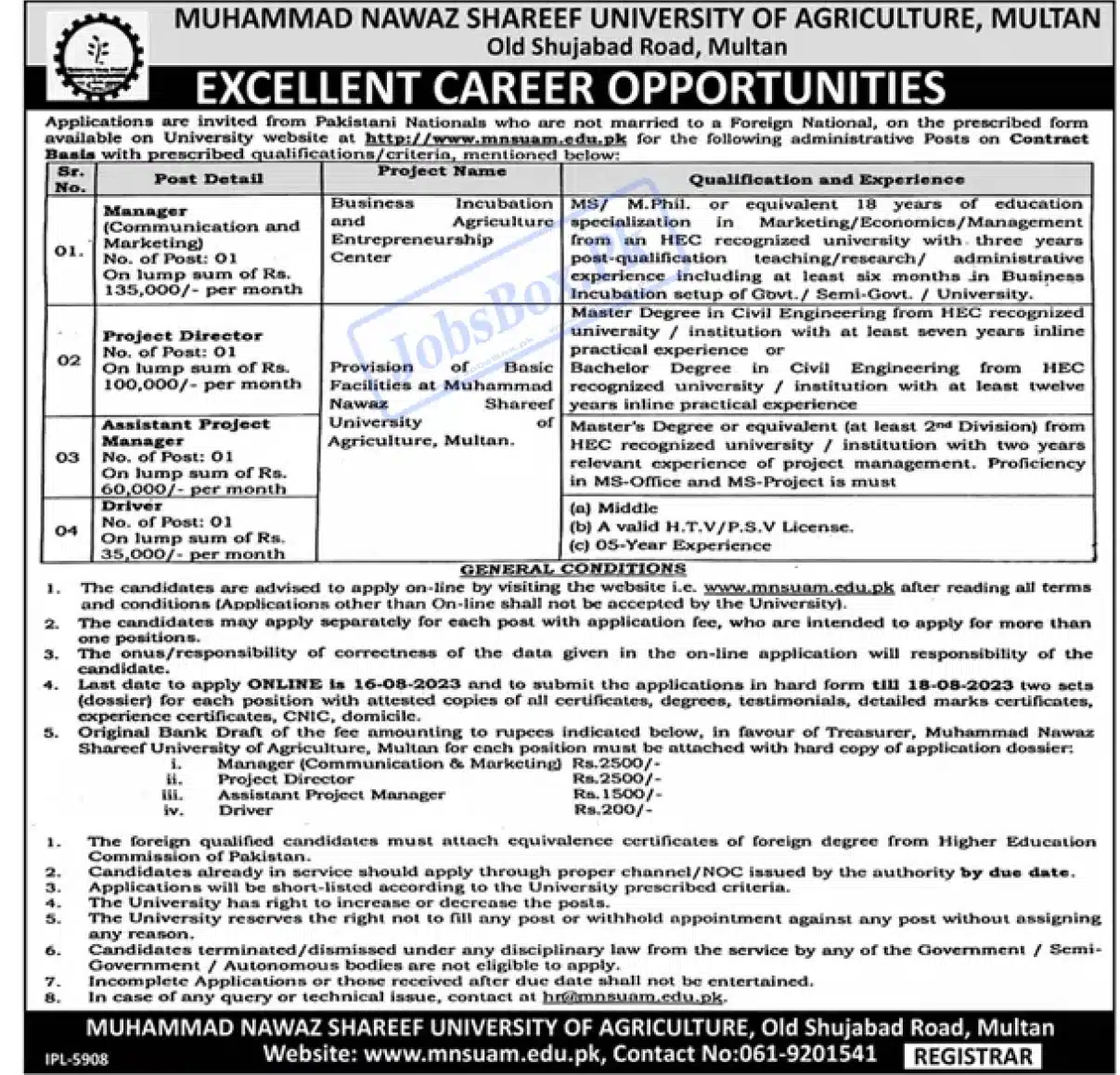 MNS University of Agriculture Multan Jobs 2023