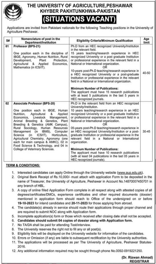 University of Agriculture Peshawar Jobs 2023